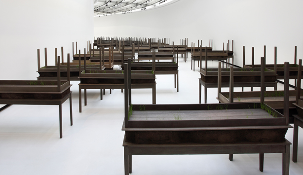 Plegaria Muda, Doris Salcedo