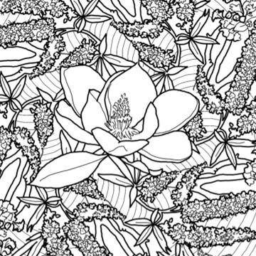 Drawing of magnolia blossom and vitex flowers. Drawing of magnolia blossom and vitex flowers.