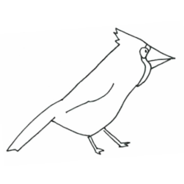 drawing of a bird