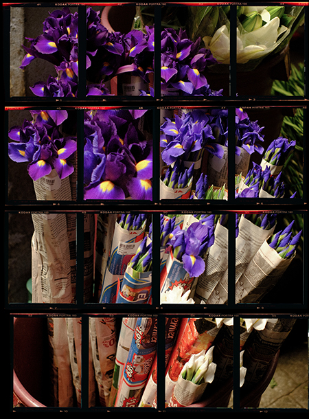 market stall in mexico of purple flowers