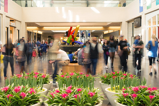 NorthPark_website